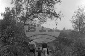 Местността Златните мостове в Природен парк „Витоша“