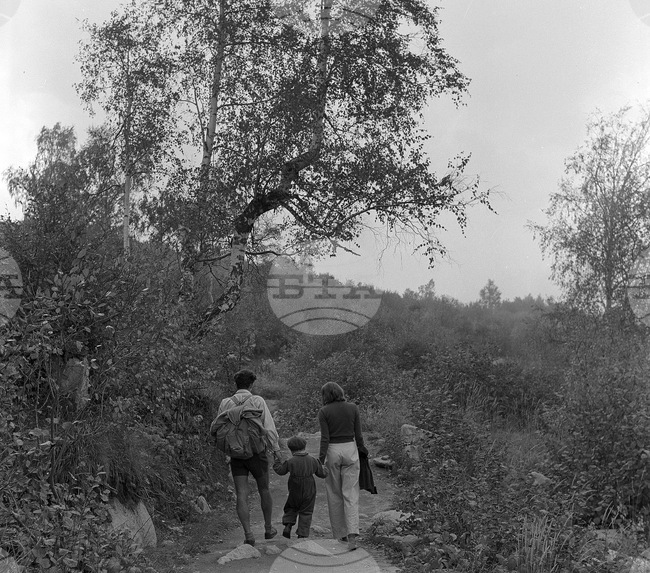 Местността Златните мостове в Природен парк „Витоша“