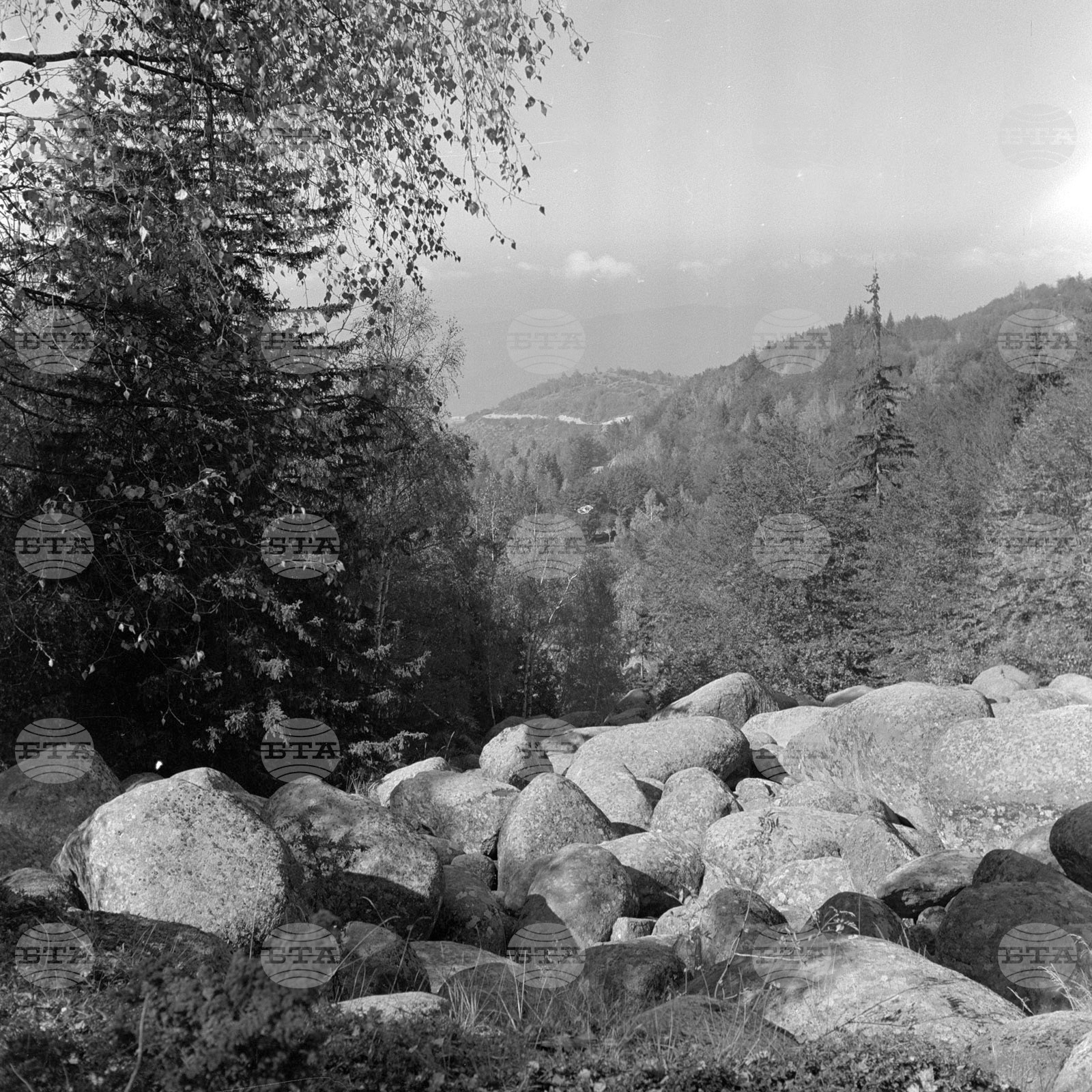 Местността Златните мостове в Природен парк „Витоша“