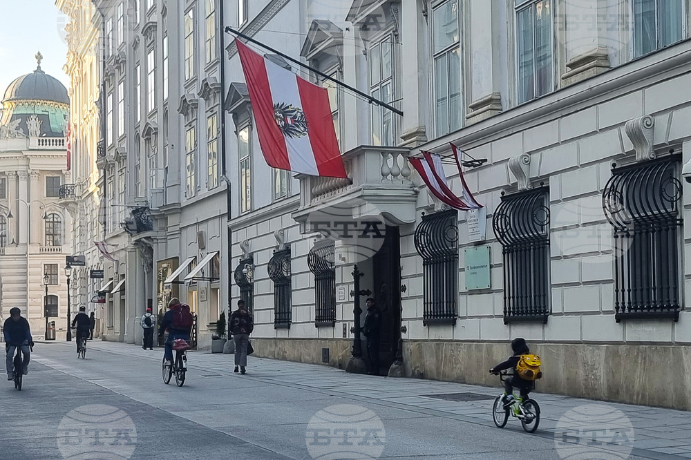 В Австрия се увеличава броят на фирмените фалити 