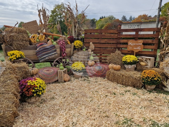 Фестивалът на житената питка в Стражица отдава почит на родения в града Ангел Каралийчев