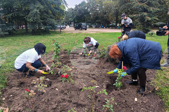 Засадиха 14 червени рози в „градината на донорите“ зад НДК, в България 875 души чакат за трансплантация 