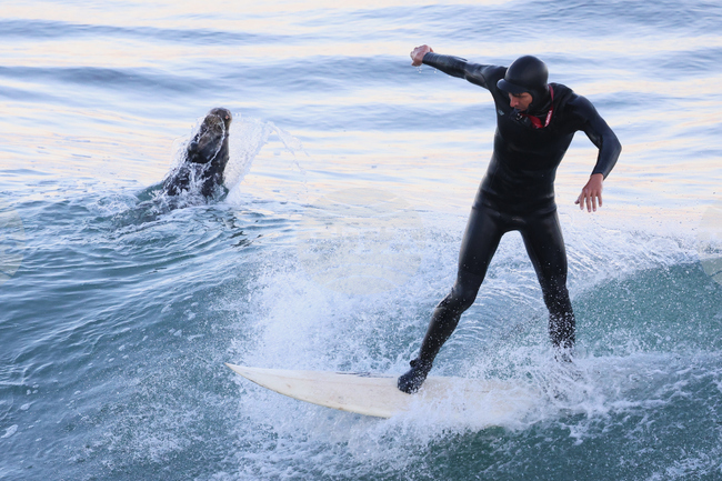 California Daily Life