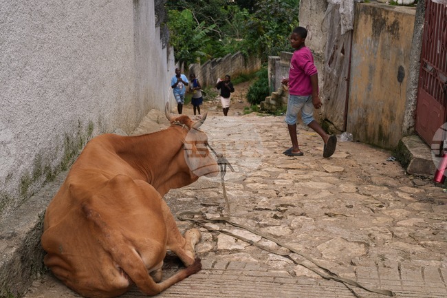 Haiti Daily lIfe