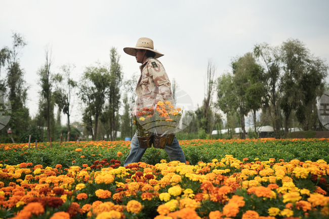 APTOPIX Mexico Day of the Dead