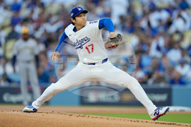 NLCS Brewers Dodgers Baseball