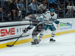 Shark Mammoth Hockey