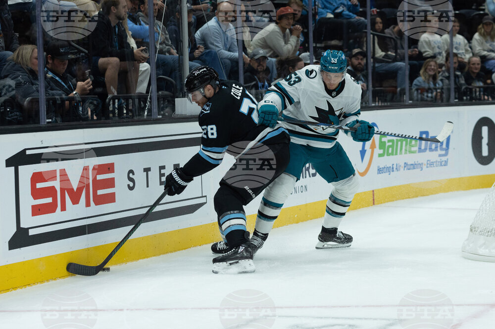 Sharks Mammoth Hockey