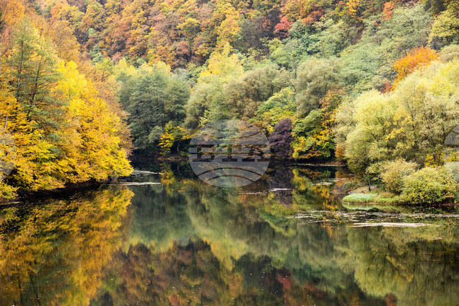 Прогноза за времето