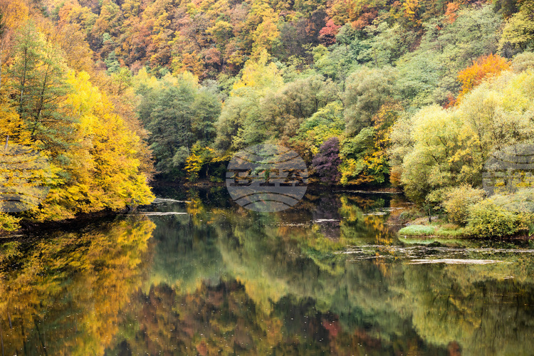 Government Adopts Amendments to Water Act to Simplify Permitting and Water Management