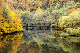 Долни Пасарел - изглед