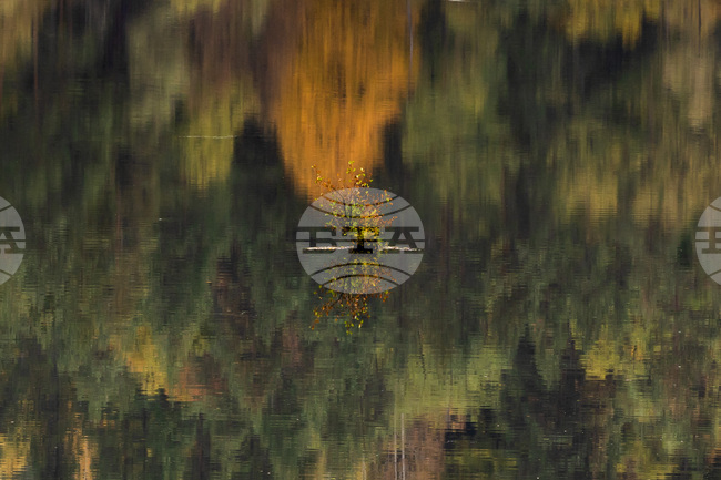 Прогноза за времето