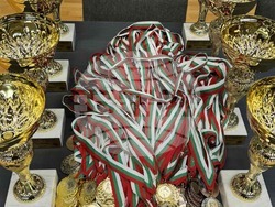 Снимка: Община Стара Загора