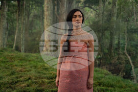 Chief of War-Hawaiian