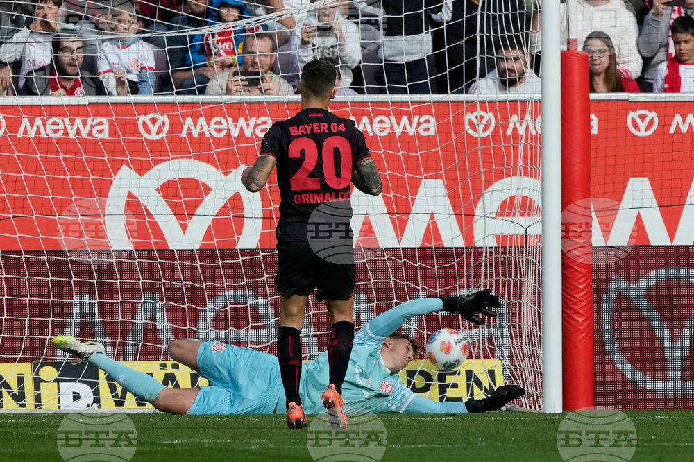 Germany Soccer Bundesliga