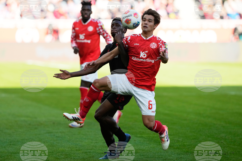 Germany Soccer Bundesliga