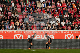 Germany Soccer Bundesliga