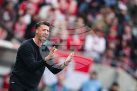 Germany Soccer Bundesliga