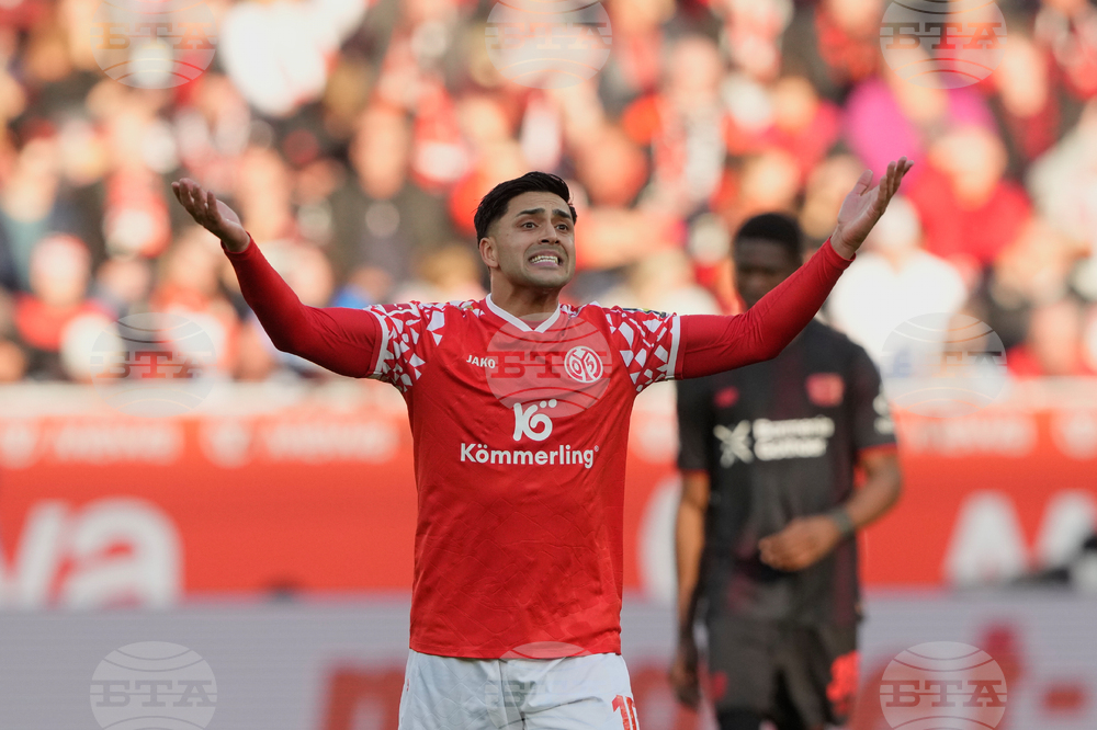 Germany Soccer Bundesliga