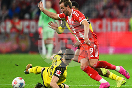 Germany Soccer Bundesliga