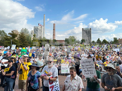 US No Kings Protest Alabama