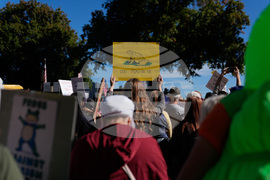 US Protests Portland