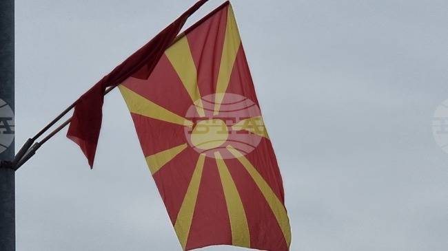 Местните избори в общините в Северна Македония, в които нямаше необходимата избирателна активност на 19 октомври, ще се проведат на 11 януари