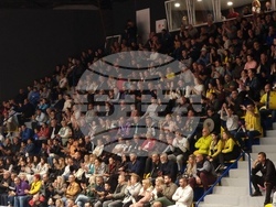 Пловдив - Волейбол - Марица (Пловдив) - Левски