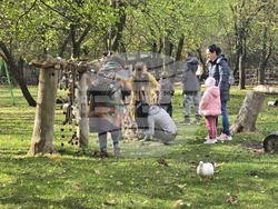 Добрич - зооцентър - фестивал "Компас на сетивата"