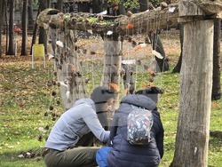 Добрич - зооцентър - фестивал "Компас на сетивата"