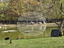 Добрич - зооцентър - фестивал "Компас на сетивата"