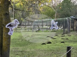 Добрич - зооцентър - фестивал "Компас на сетивата"