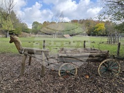 Добрич - зооцентър - фестивал "Компас на сетивата"