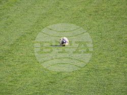 Добрич - футбол - Добруджа - ЦСКА