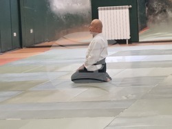 Курибаяши сенсей