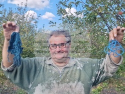 Село Здравец - овощна градина - ябълки