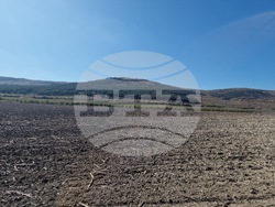 Село Здравец - овощна градина - ябълки