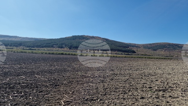 Започна подаването на заявления за подкрепа на земеделските стопанства