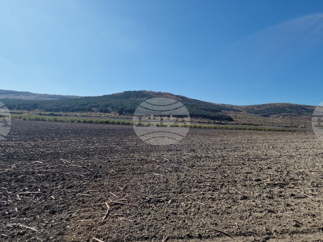 Започна подаването на заявления за подкрепа на земеделските стопанства