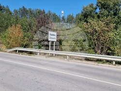 Село Здравец - овощна градина - ябълки