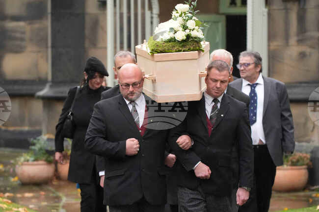 Britain Cricket Bird