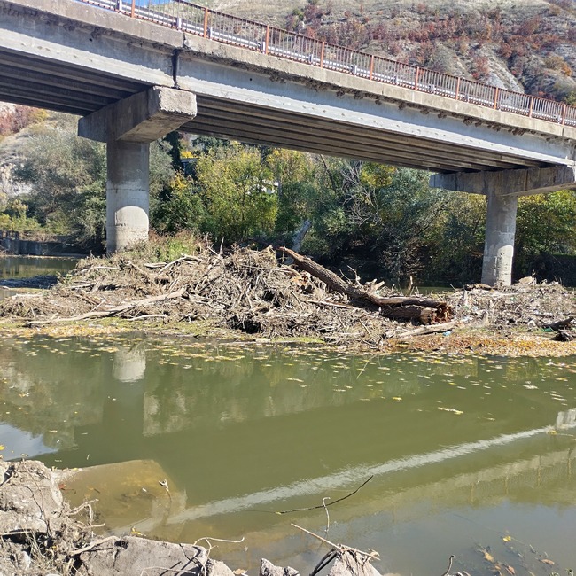 Областна администрация Русе: И през новата седмица ще продължат дейностите по премахване на падналите дървета в река Янтра край село Долна Студена 