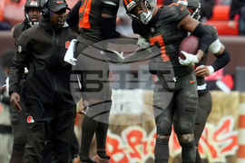 Dolphins Browns Football