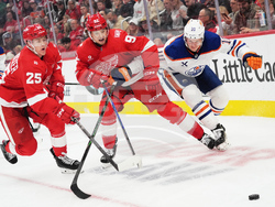 Oilers Red Wings Hockey