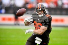 Dolphins Browns Football