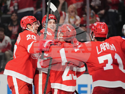 Oilers Red Wings Hockey