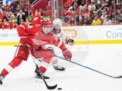 Oilers Red Wings Hockey
