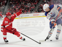Oilers Red Wings Hockey