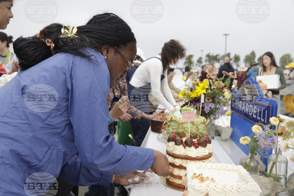 San Francisco Cake Picnic