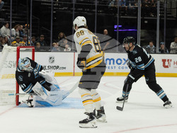 Bruins Mammoth Hockey